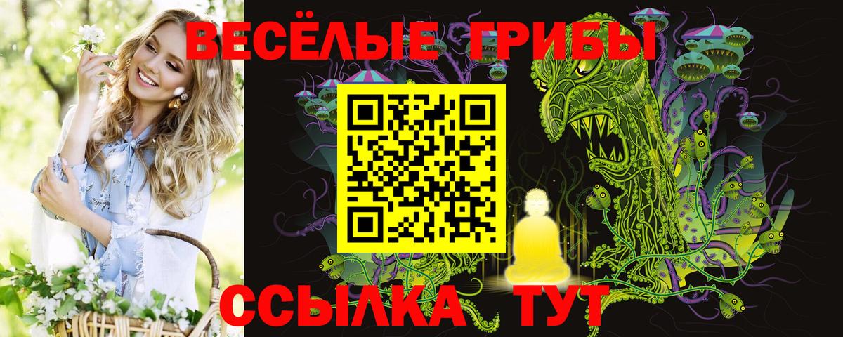 Советская Гавань  дарнет шоп  Вход с VPN  Псилоцибиновые грибы Cubensis 