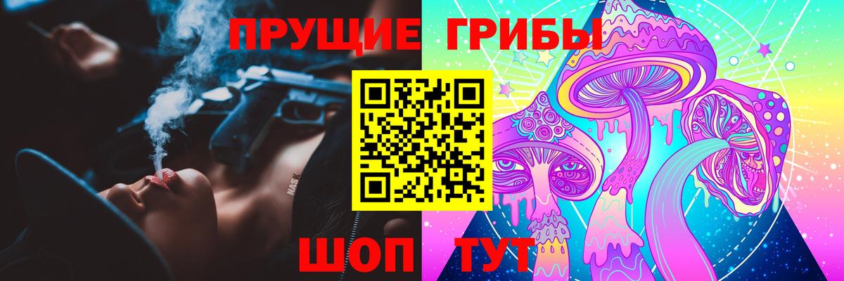 Галлюциногенные грибы Psilocybine cubensis Советская Гавань